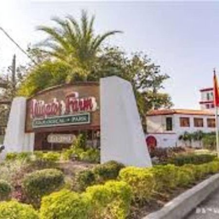Beach Side Complex B23 1 Bed 1 Bath W/Heated Pool St. Augustine Exteriör bild